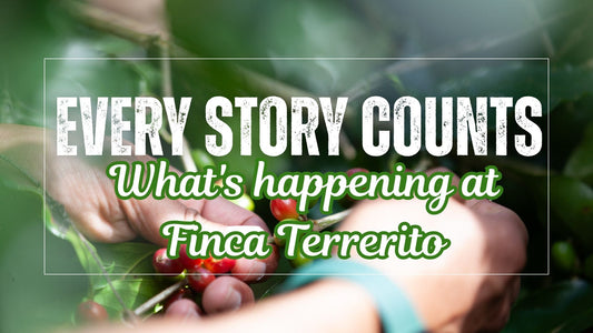 Every story counts: What's happening at Finca Terrerito