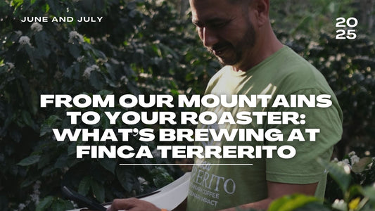 From Our Mountains to Your Roaster: What’s Brewing at Finca Terrerito (June–July Edition).