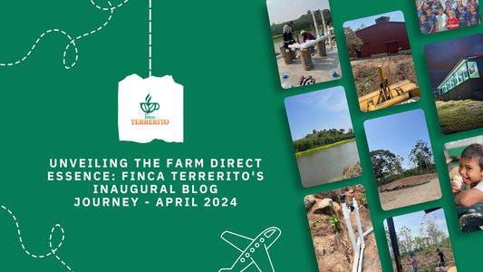 Highlights of what is going on at Finca Terrerito in April 2024!