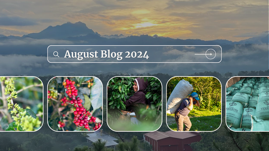 Discover the Journey of Coffee to Your Roaster!