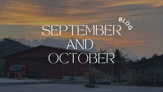 2024/2025 Harvest Prep:  See What’s Been Brewing at Finca Terrerito this September and October.