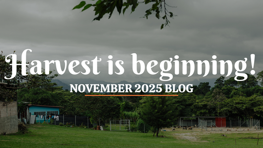 November 2025 Blog – Harvest is beginning!