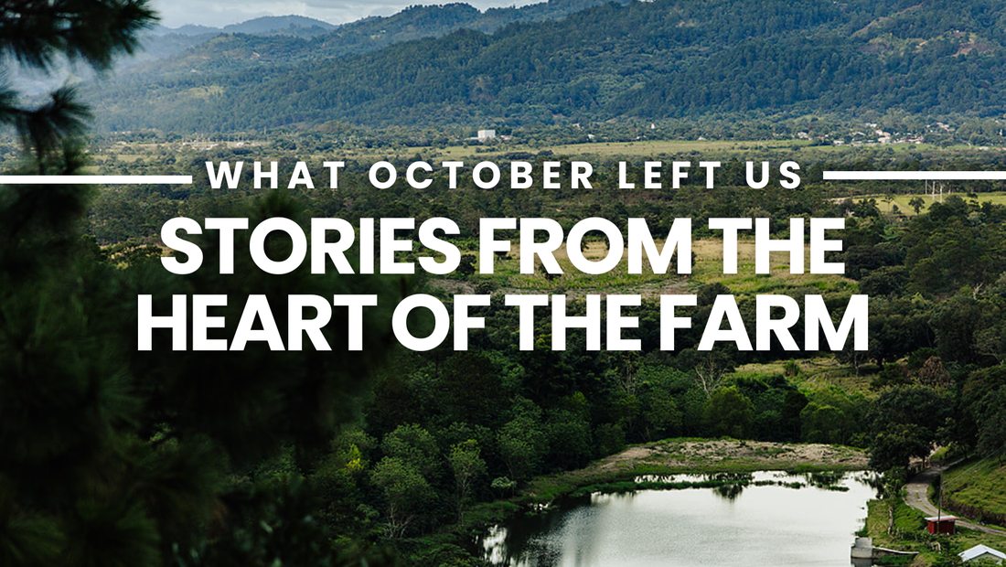 What October Left Us: Stories from the Heart of the Farm